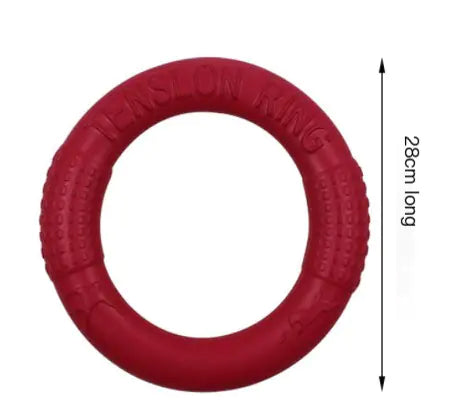 Interactive EVA Training Ring by Anti Spier