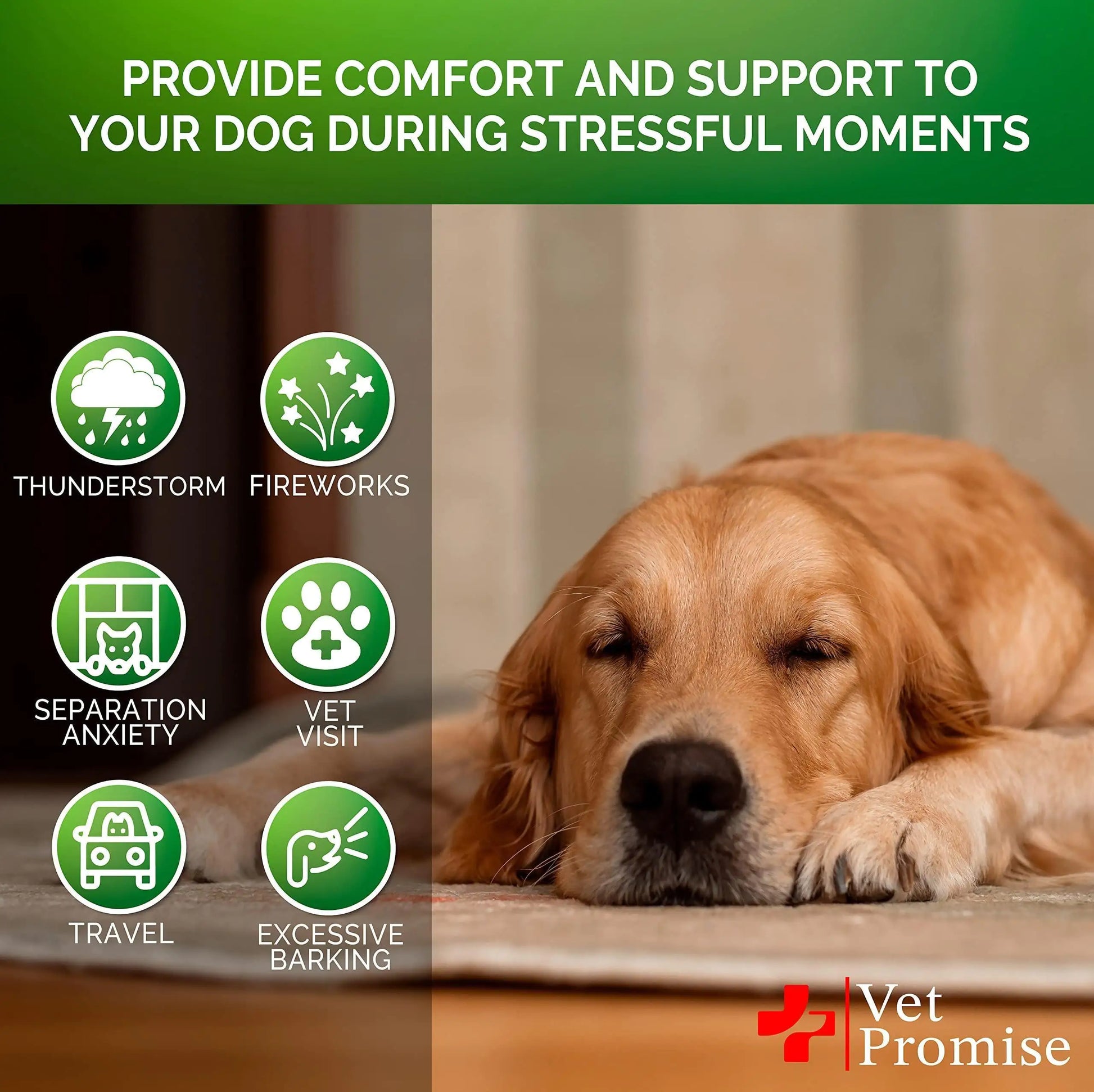 Hemp Calming Chews for Dogs Anxiety and Stress Dog Natural Calming 120 Treats by Anti Spier