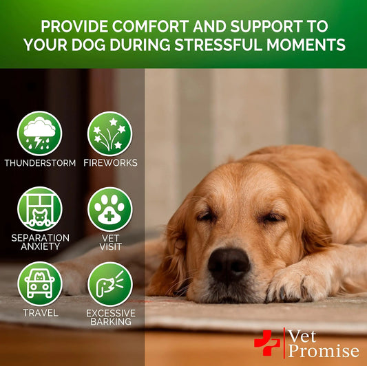 Hemp Calming Chews for Dogs Anxiety and Stress Dog Natural Calming 120 Treats by Anti Spier