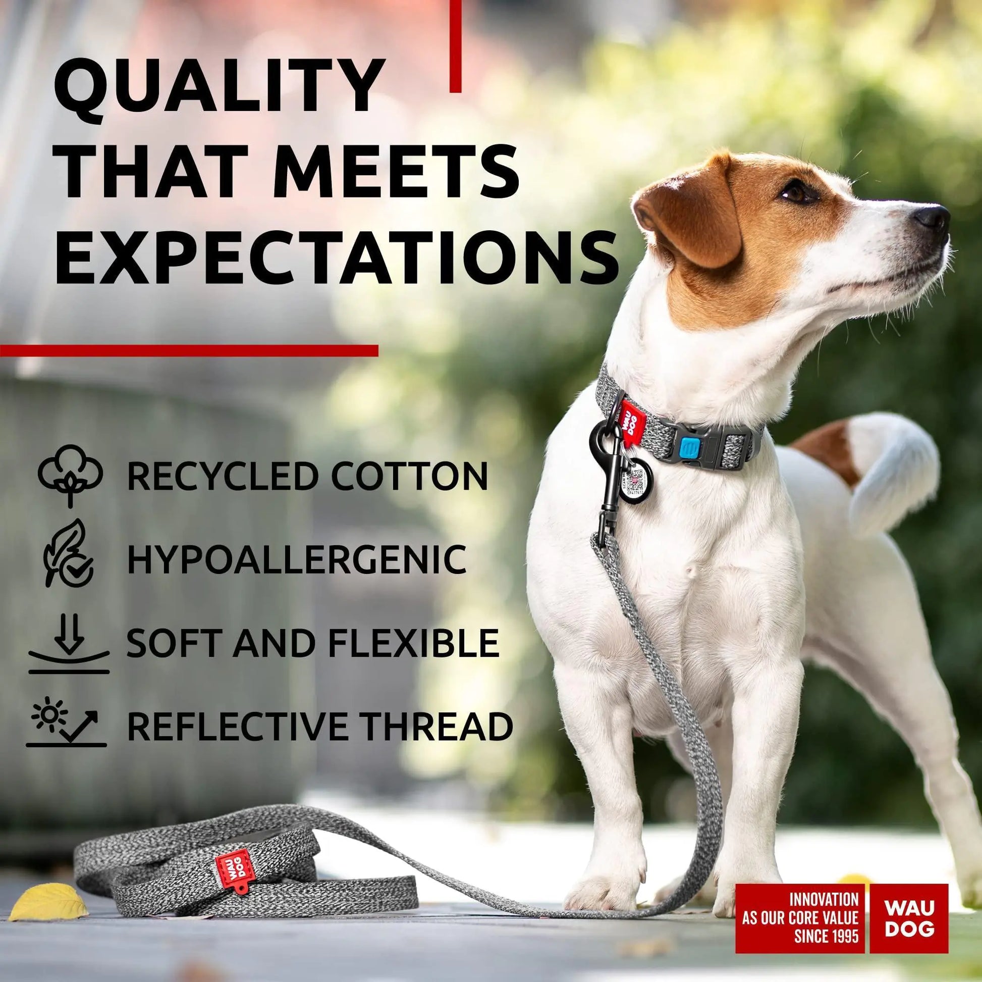 Recycled Cotton Dog Leash 3/5 inch x 6 Ft Eco Friendly for Small Medium Large by Anti Spier