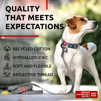 Recycled Cotton Dog Leash 3/5 inch x 6 Ft Eco Friendly for Small Medium Large by Anti Spier