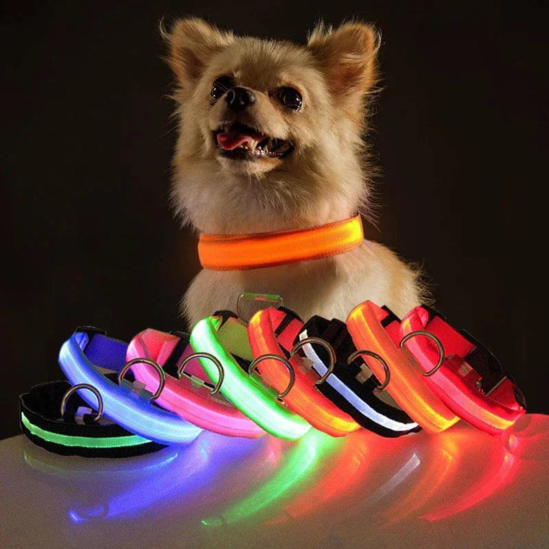 LED Adjustable Dog Collar Blinking Flashing Light Up Glow Pets Safety Waterproof by Anti Spier