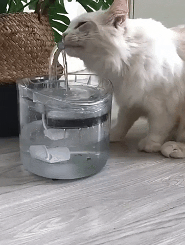 Drinking Bowl Auto Drinking Filter for Pets by Anti Spier