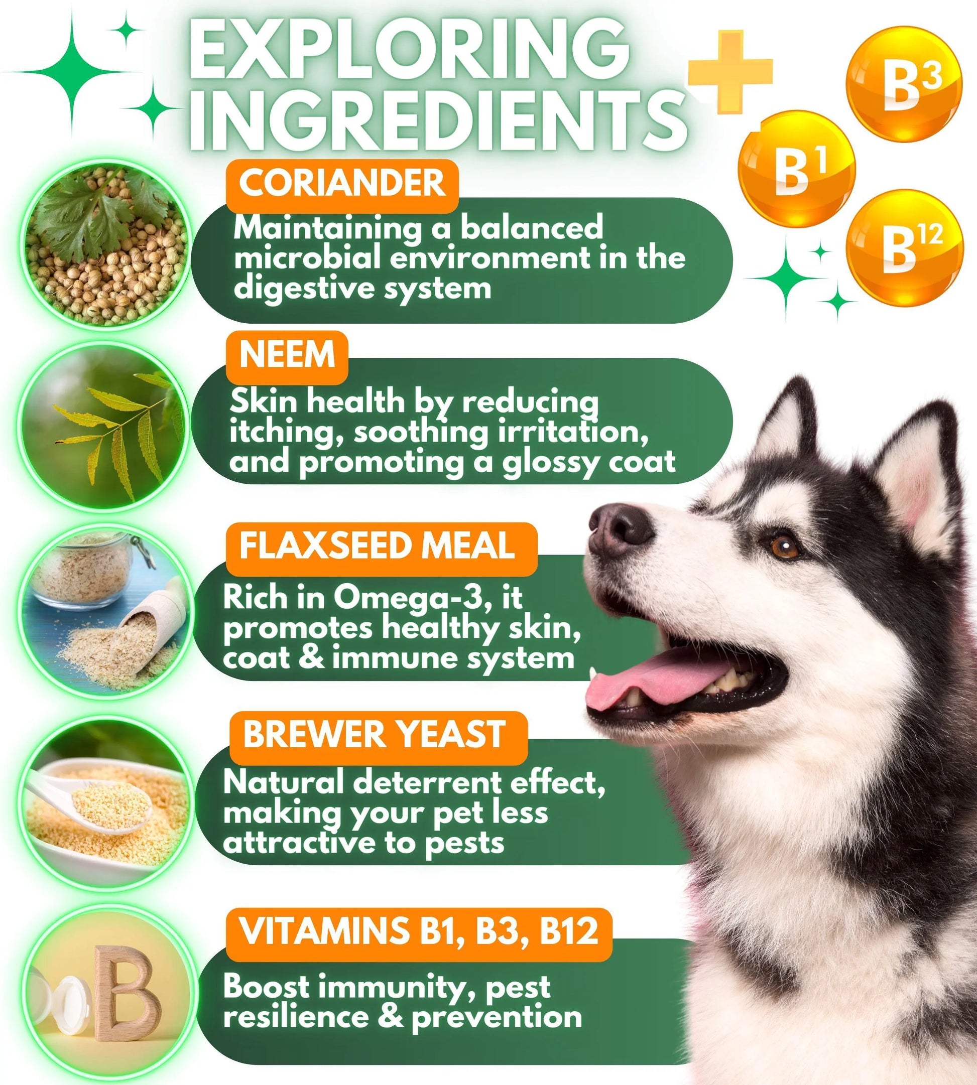 Parasites Prevention for Dogs Chewables Natural Dog Insects Control 120 Tablets by Anti Spier