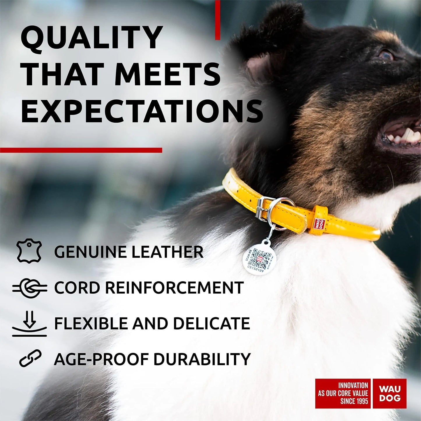 Ultra Soft Rolled Leather Dog Collar 2124 inch Neck Yellow Padded Dog Collars by Anti Spier