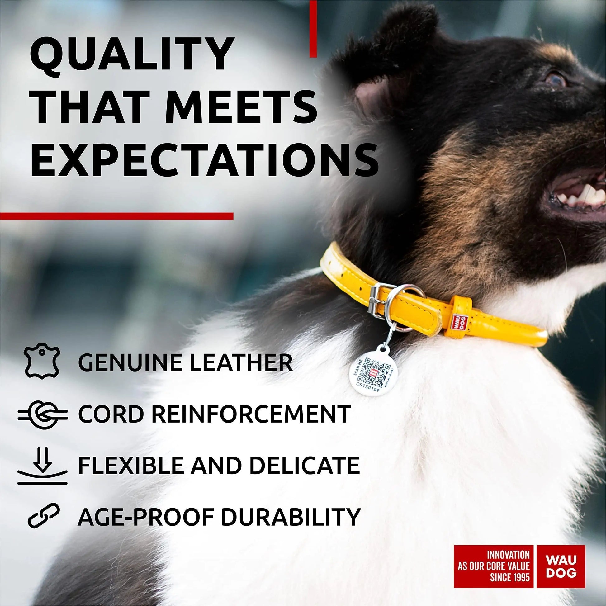 Ultra Soft Rolled Leather Dog Collar 2124 inch Neck Yellow Padded Dog Collars by Anti Spier
