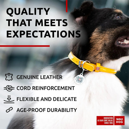 Ultra Soft Rolled Leather Dog Collar 2124 inch Neck Yellow Padded Dog Collars by Anti Spier