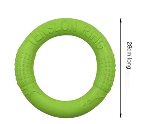 Interactive EVA Training Ring by Anti Spier