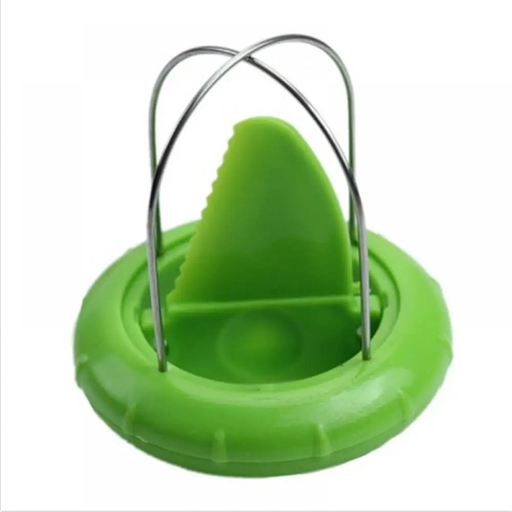 Kiwi Fruit Cutter by Anti Spier