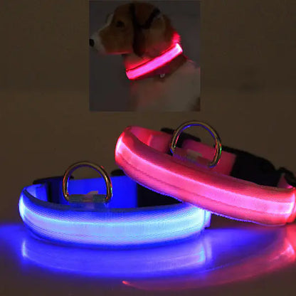 LED PET Safety Halo Style Collar by Anti Spier