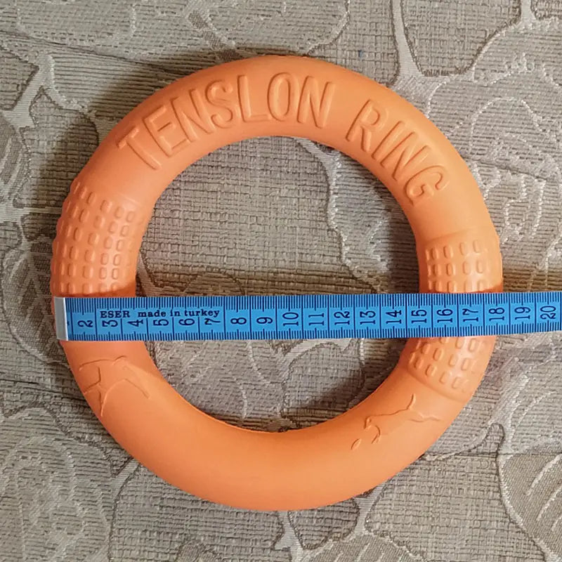 Interactive EVA Training Ring by Anti Spier