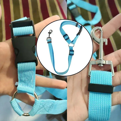 Pet Car Seat Belt & Harness Safety And Style by Anti Spier