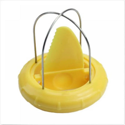 Kiwi Fruit Cutter by Anti Spier