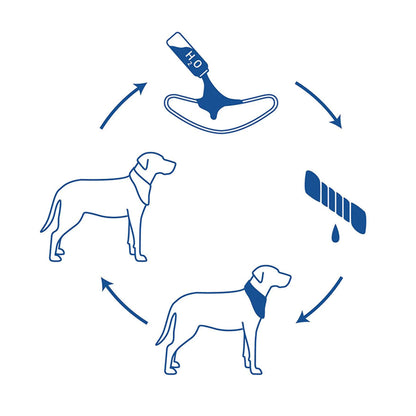 Dog Cooling Bandana by Anti Spier