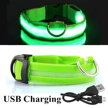 Safety And Visibility For Night Walks by Anti Spier