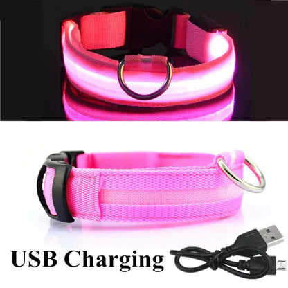 Safety And Visibility For Night Walks by Anti Spier