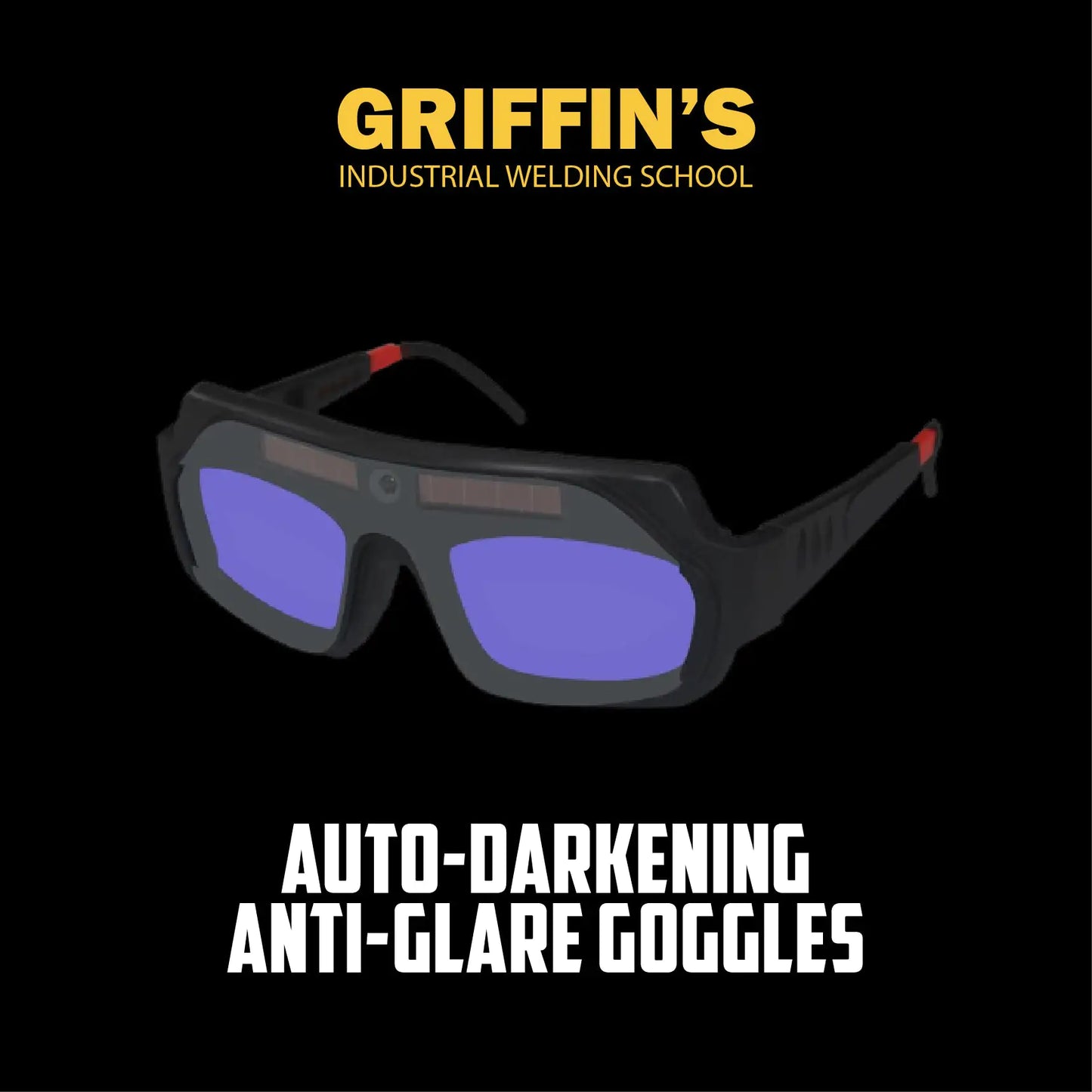 Griffin's Welding School™ Auto-Darkening Anti-Glare Goggles by Anti Spier