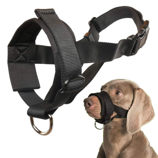 Dog Muzzle for Small Medium Large Dogs Anti Biting Barking Chewing with Soft Padding and Adjustable Loop by Anti Spier