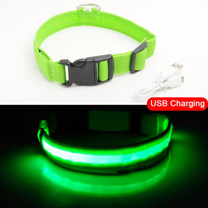 LED Dog Collar - Anti-Lost Rechargeable Safety Light-Up Collar for Night Walks by Anti Spier