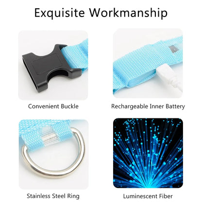 LED Dog Collar - Anti-Lost Rechargeable Safety Light-Up Collar for Night Walks by Anti Spier