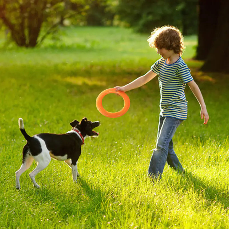 Interactive EVA Training Ring by Anti Spier