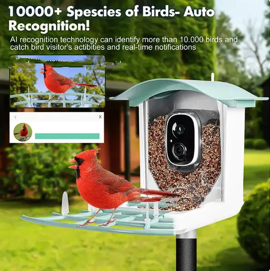 Solar-Powered Waterproof Bird Feeder with Camera by Anti Spier