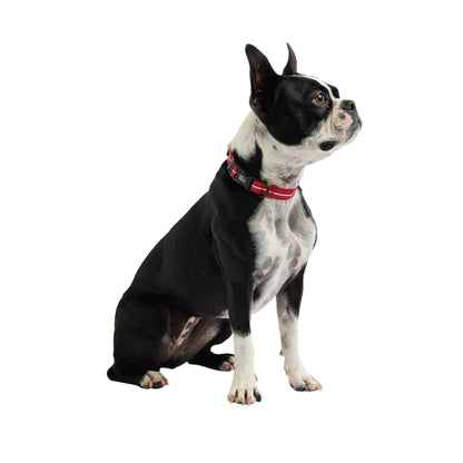Reflective Collar - Red by Anti Spier