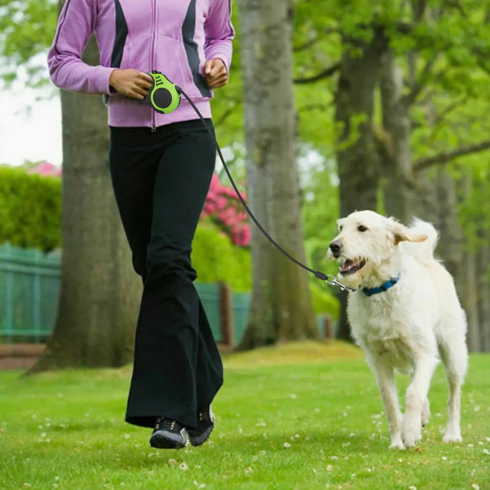 16.5FT Automatic Retractable Dog Leash Pet Collar Automatic Walking Lead Free US by Anti Spier