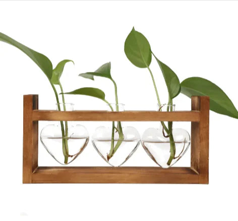 Heart-Shaped Glass Vase with Wooden Stand – stylish and elegant! by Anti Spier